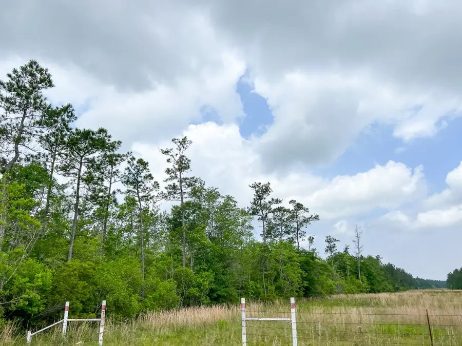 00000 Cravens Camp Rd., Silsbee, TX 77656 - Image #3