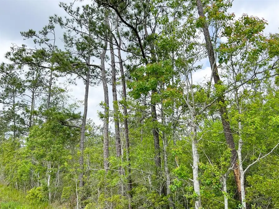 000000 Cravens Camp Rd., Silsbee, TX 77656 - Image #2