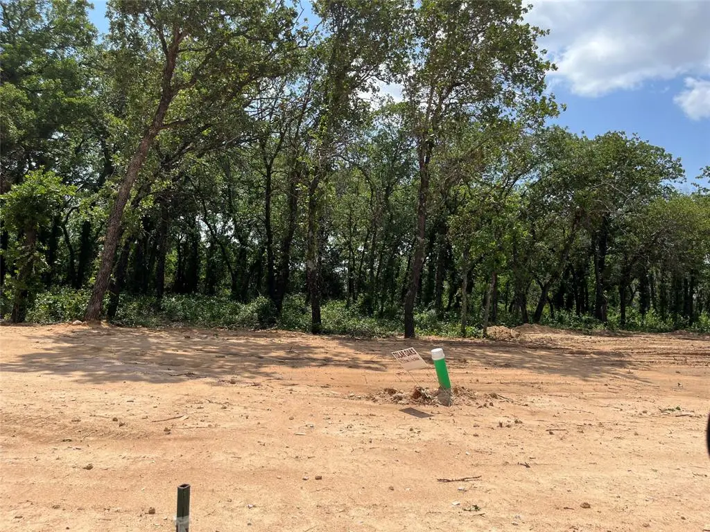 429 Peace Lily Way, Tolar, TX 76476 - Image #1