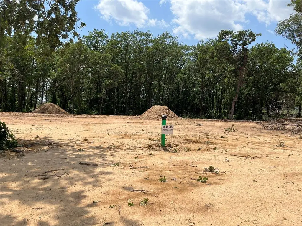 473 Peace Lily Way, Tolar, TX 76476 - #1