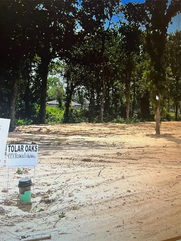 477 Peace Lily Way, Tolar, TX 76476 - Image #1