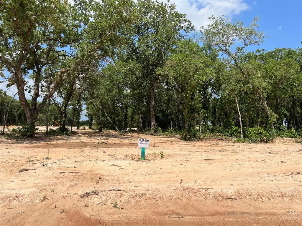 476 Peace Lily Way, Tolar, TX 76476 - Image #1