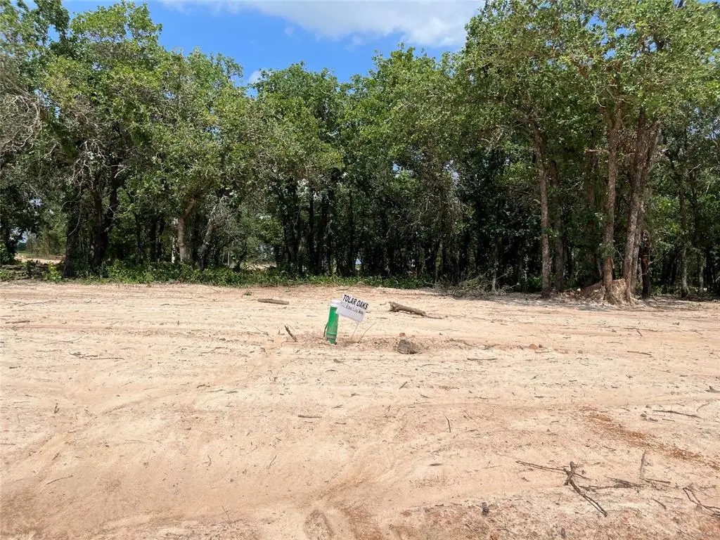 472 Peace Lily Way, Tolar, TX 76476 - Image #1