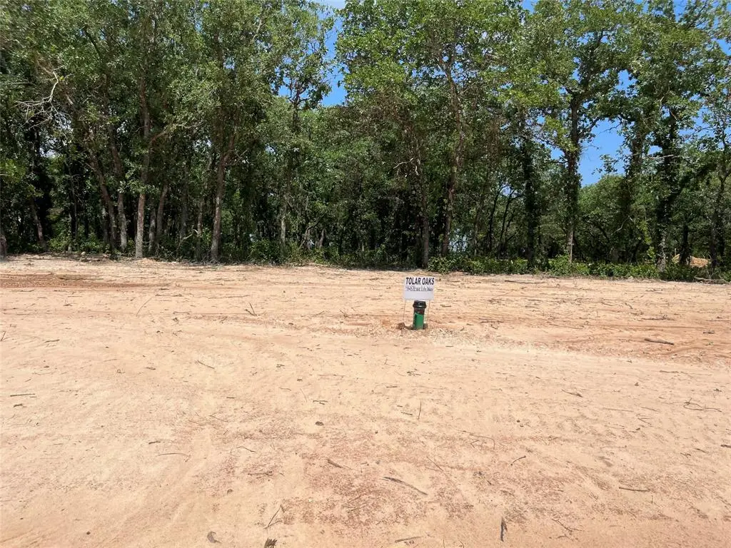 468 Peace Lily Way, Tolar, TX 76476 - Image #1