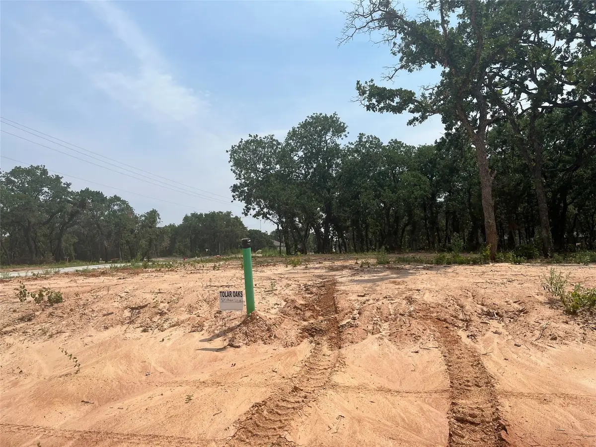 320 Peace Lily Way, Tolar, TX 76476 - Image #1