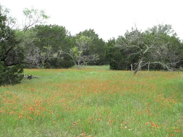 TBD-Lot 41 Pr 42107, Evant, TX 76525