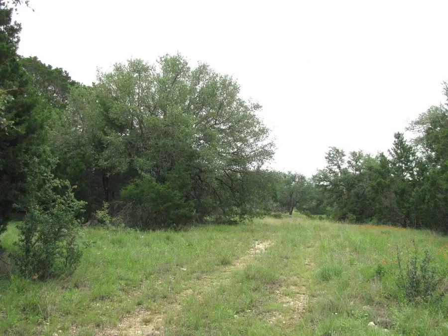 TBD-Lot 41 Pr 42107, Evant, TX 76525 - Image #2