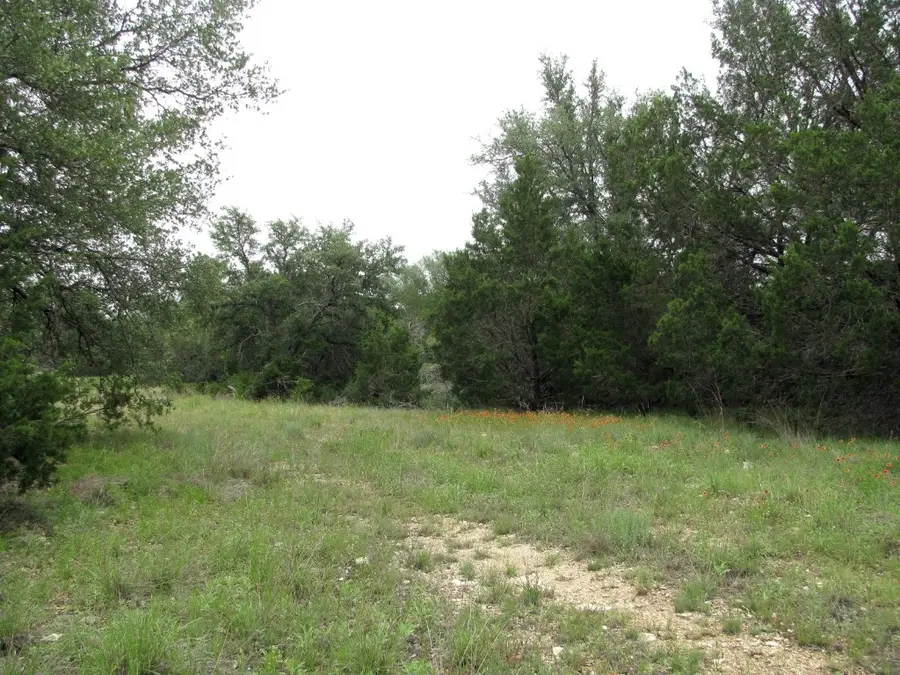 TBD-Lot 41 Pr 42107, Evant, TX 76525 - Image #3