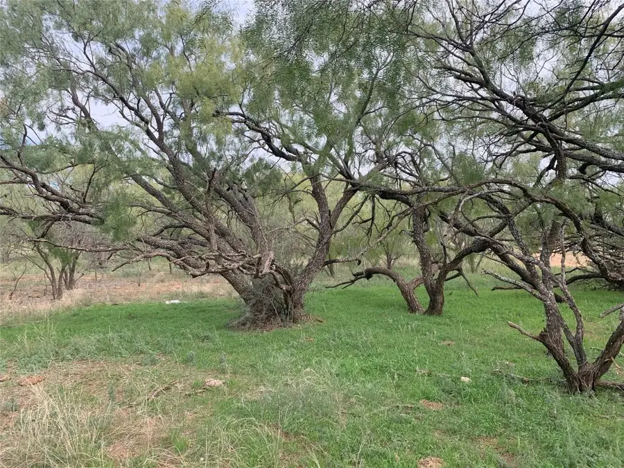 819 County Road 126, Trent, TX 79561 - Image #2