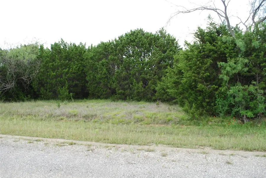 23067 Oak Ridge Drive, Whitney, TX 76692 - #2