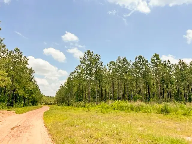 0 County Road 1325, Woodville, TX 75979 - Image #1