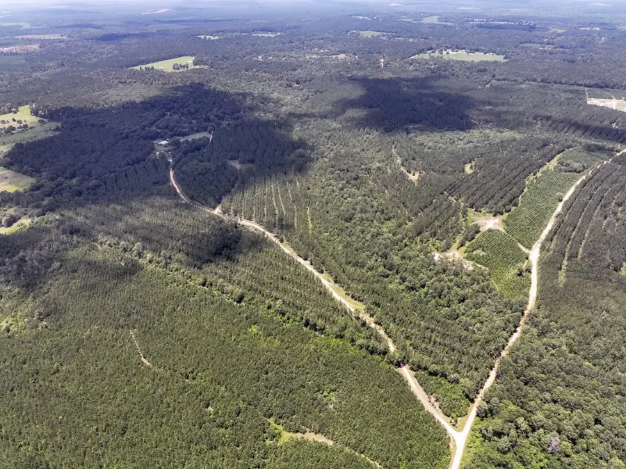 0 County Road 1325, Woodville, TX 75979 - Image #2