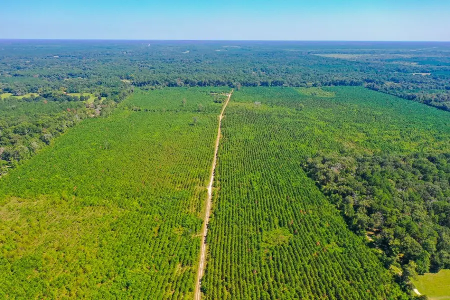 000 Fm 1010, Cleveland, TX 77327 - Image #2