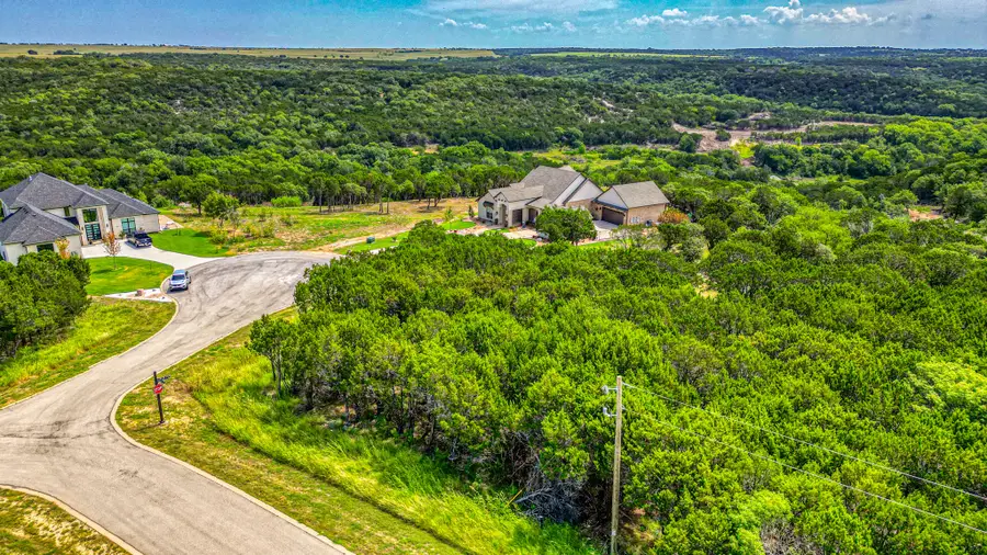 8200 E Dalmahoy Court, Cleburne, TX 76033 - Image #3