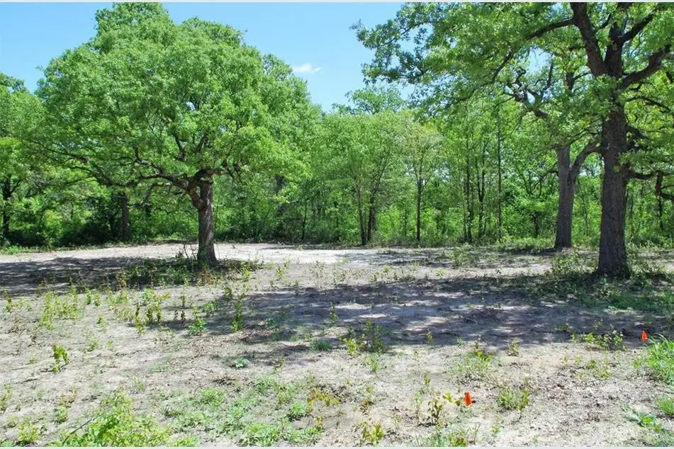 TBD Timber Creek, Stephenville, TX 76401 - #1
