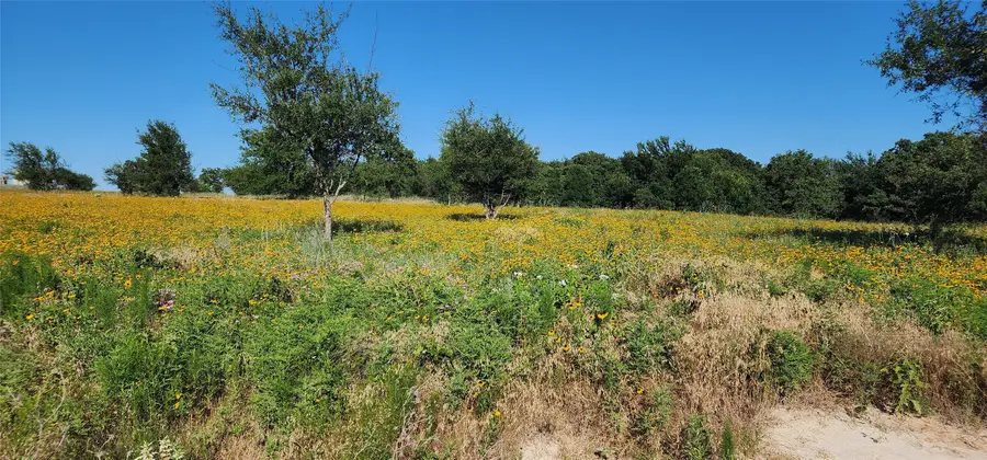 1080 Gonzollas Road, Springtown, TX 76082 - Image #3