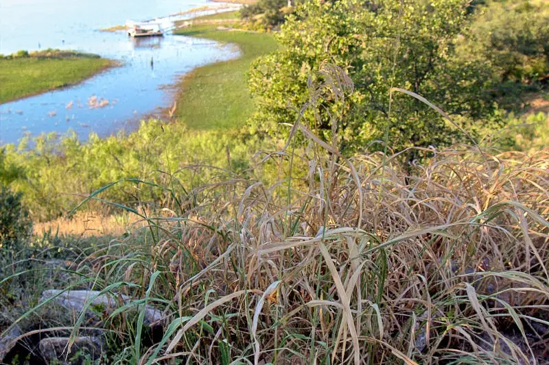 TBD Summer Wind Drive, Brownwood, TX 76801 - #1