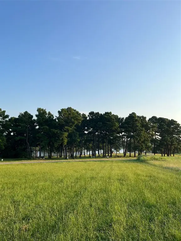 TBD - Private Road 52320, Pittsburg, TX 75686 - Image #3