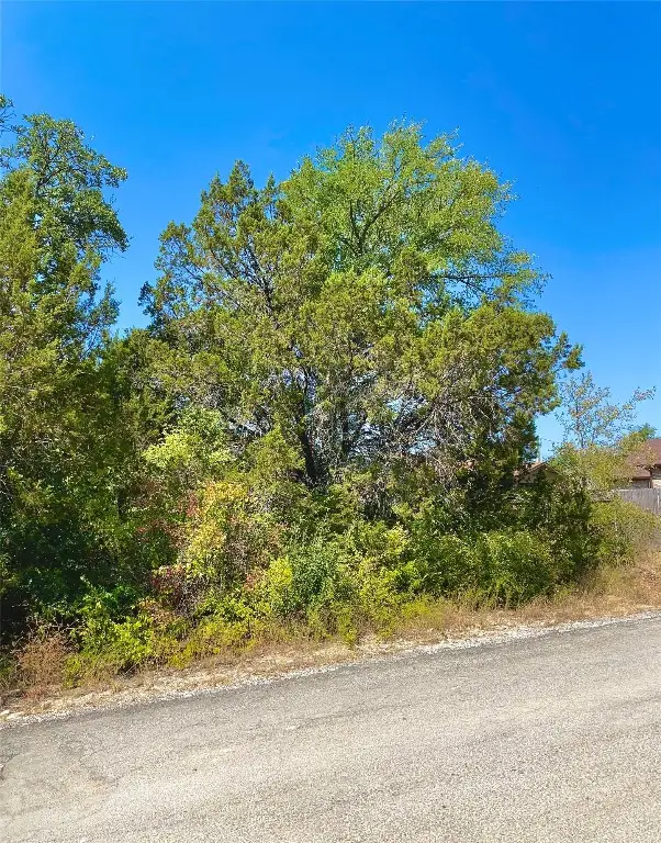 5102 Stoneridge Drive, Granbury, TX 76048 - #3