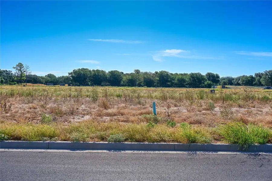 2617 Savanah Oaks Terrace, Abilene, TX 79602 - Image #3