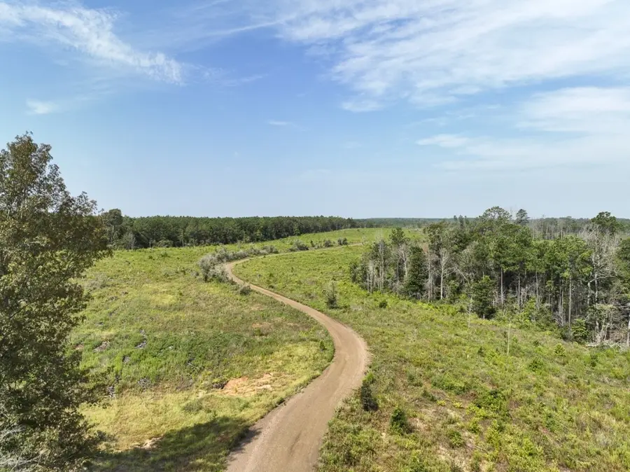 1 County Road 3725, Colmesneil, TX 75938 - Image #2