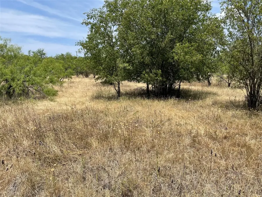 TBD Cr 316 Road, Breckenridge, TX 76424 - Image #2