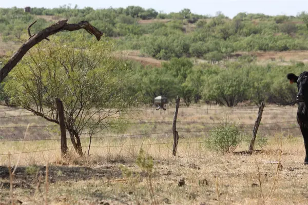 TBD 1790, Seymour, TX 76380