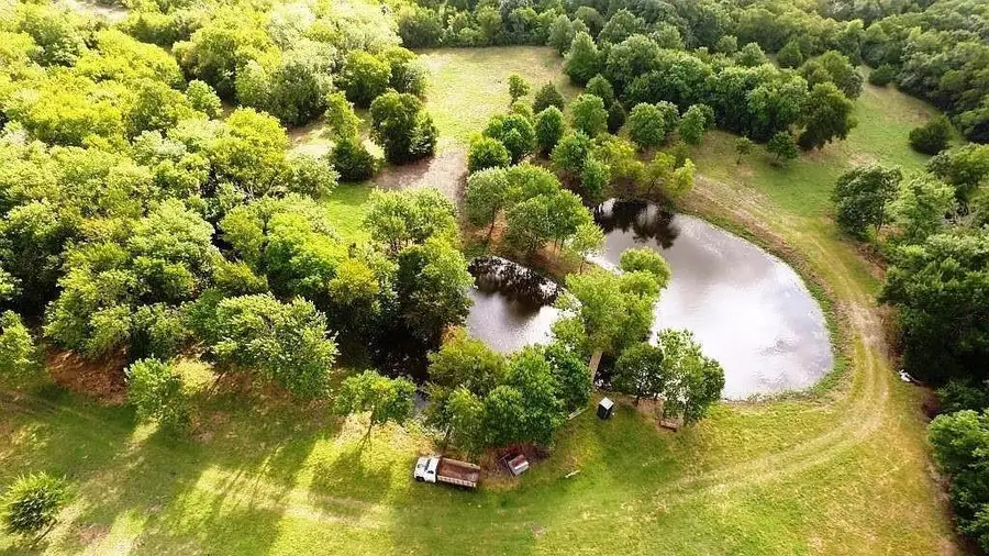 11101 Hollow Hill Farm, Blue Ridge, TX 75424 - Image #2