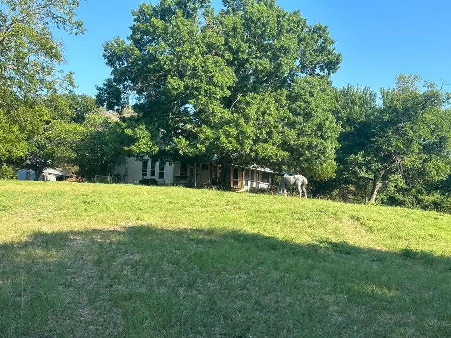 11101 Hollow Hill Farm, Blue Ridge, TX 75424 - Image #3