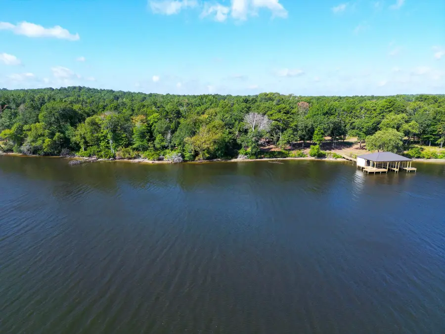 3146 Shadow Pine Drive, Larue, TX 75770 - Image #2