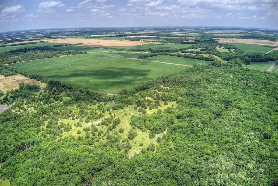 Tract 20 Cr 4813, Commerce, TX 75428 - Image #3