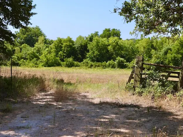 4443 Fm 1810, Chico, TX 76431 - Image #3