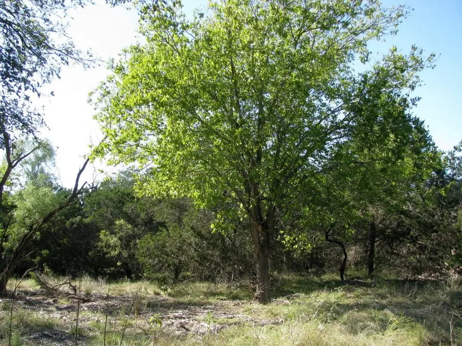 TBD Pr 42112, Evant, TX 76525 - Image #2