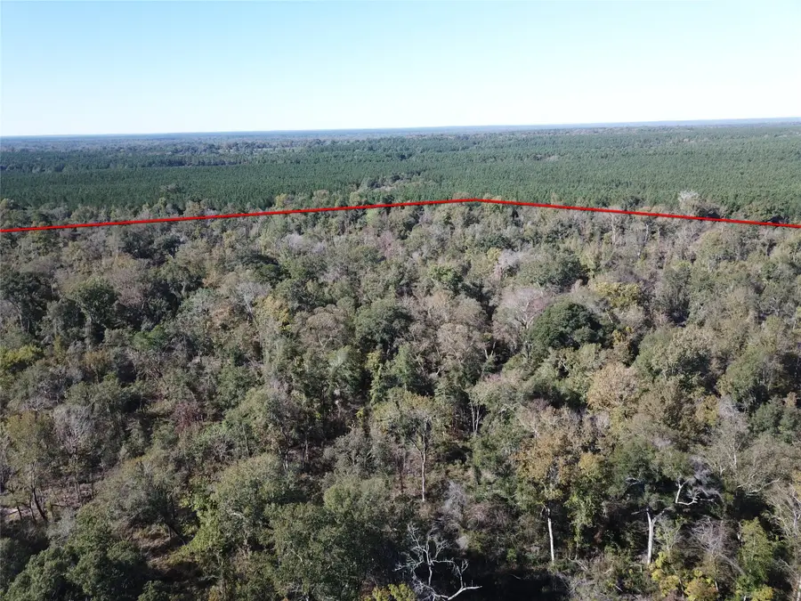 00 Off Evans Gann Road, Hudson, TX 75904 - Image #3