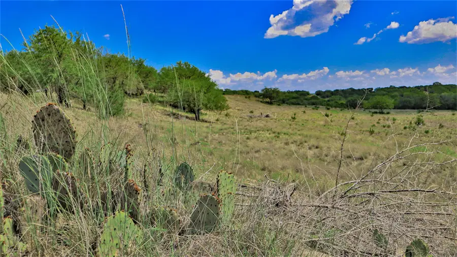 TBD Paluxy Highway, Tolar, TX 76476 - Image #3