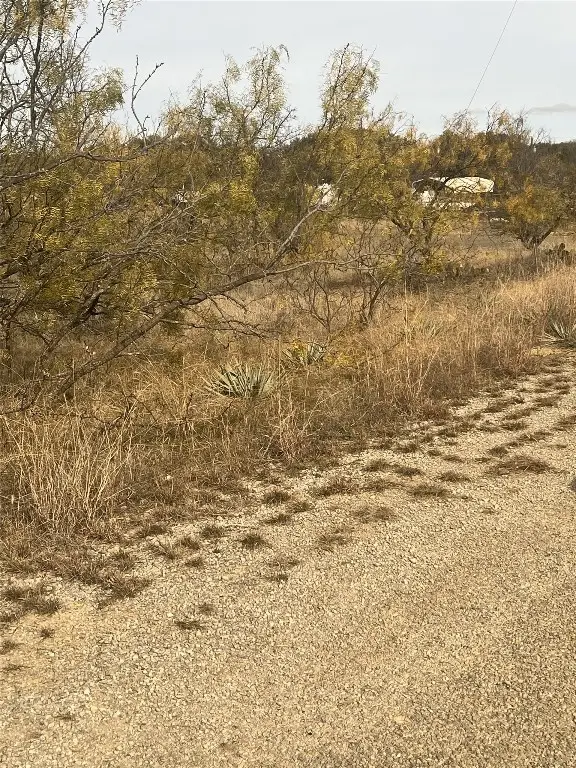 907 N Lakeside Lane, May, TX 76857 - Image #3