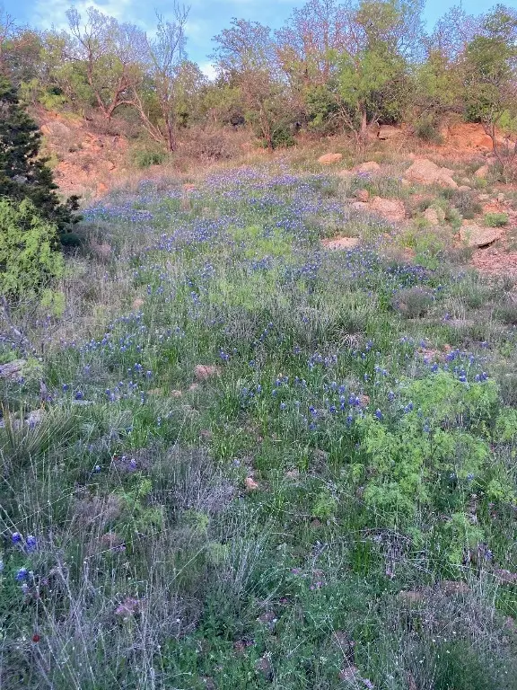 5730 Gobbler Hollow, Brownwood, TX 76801 - Image #3