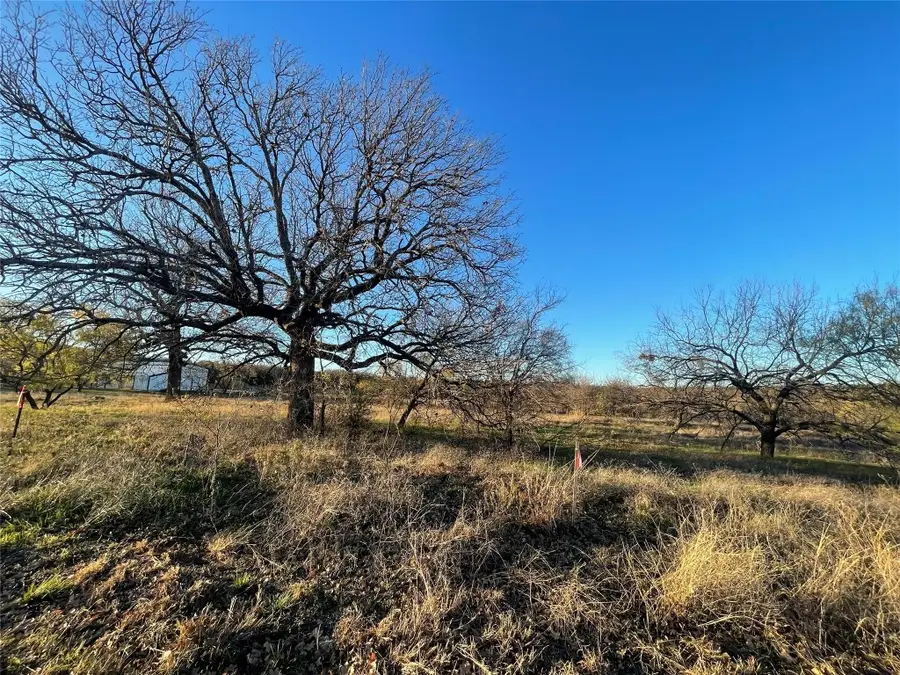 180 Brazos West Dr, Mineral Wells, TX 76067 - Image #2