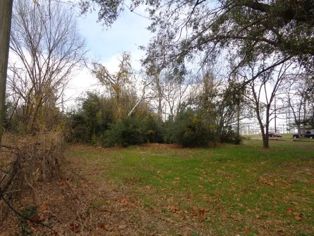 817 Carver Street, Winnsboro, TX 75494 - Image #2