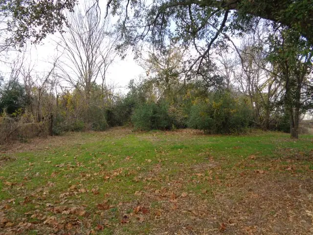 817 Carver Street, Winnsboro, TX 75494 - Image #3