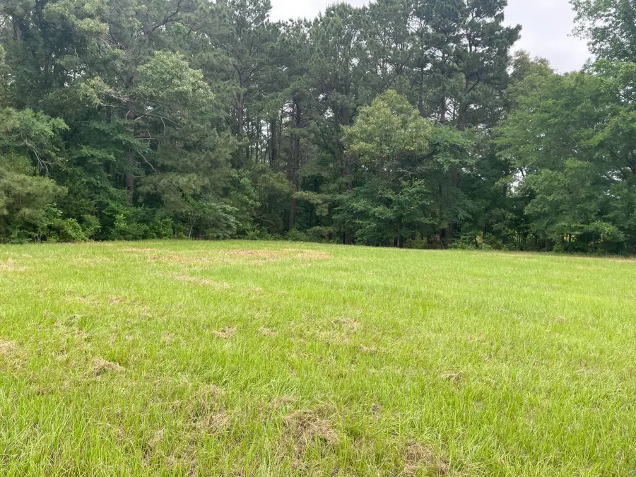 20348 County Road 4106 #Lot 12, Lindale, TX 75771 - Image #2
