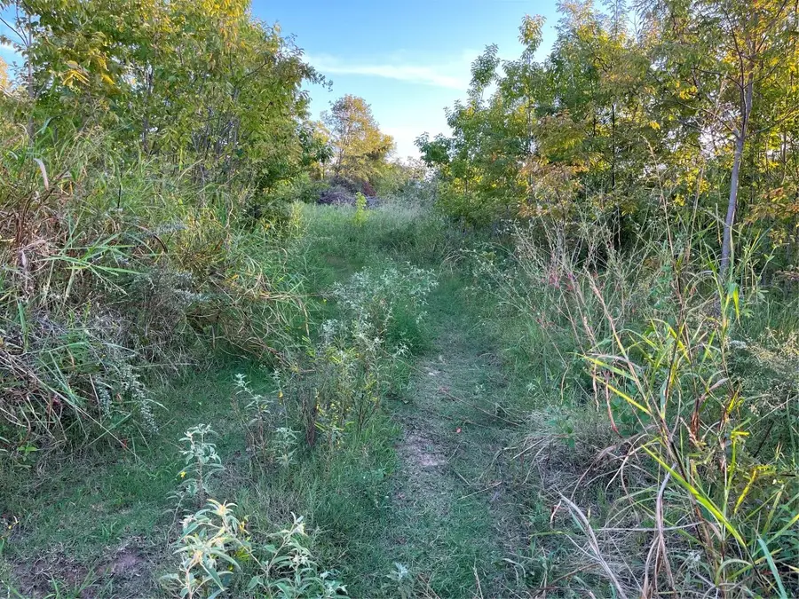 952 Lake Road, Gordonville, TX 76245 - Image #2