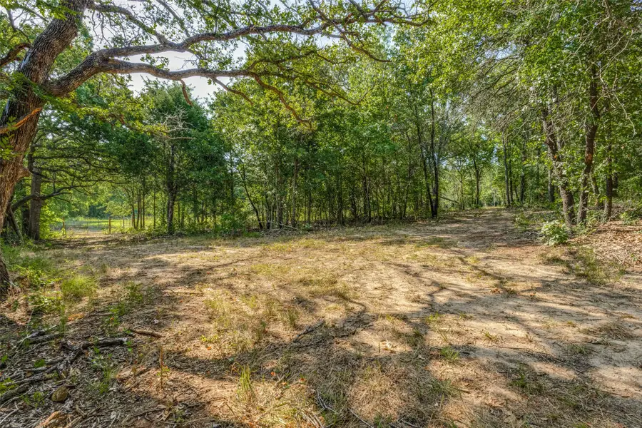 6650 State Hwy 56 Highway, Bells, TX 75414 - Image #3