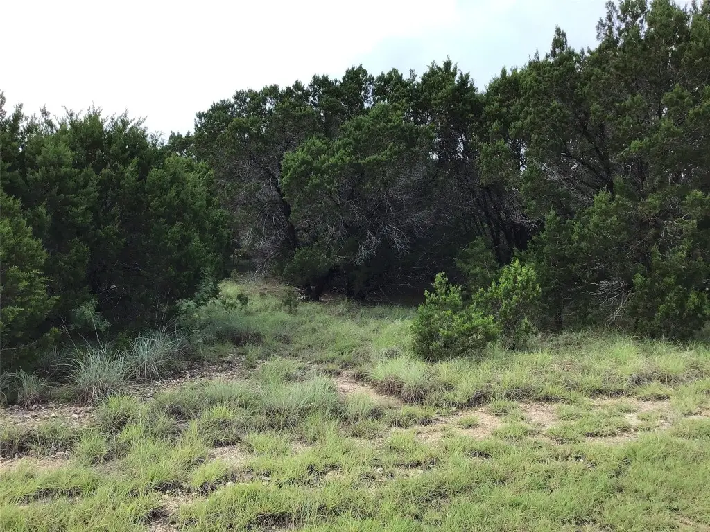 43020 Whisperwood Drive, Whitney, TX 76692 - #1