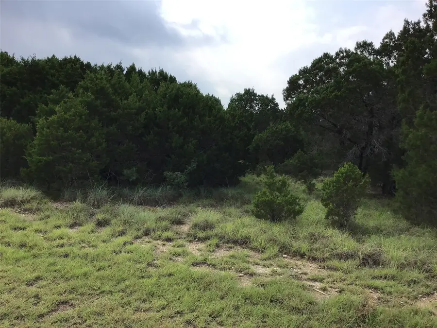 43020 Whisperwood Drive, Whitney, TX 76692 - #3