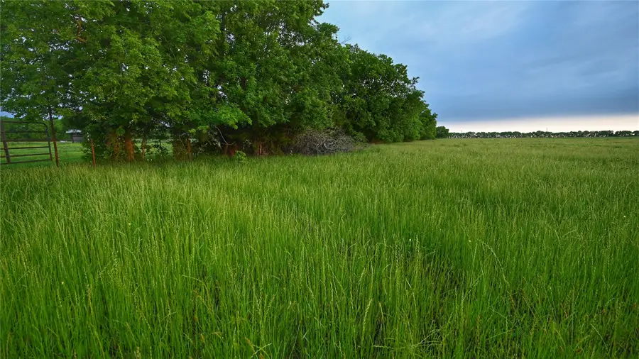 TBD Fm 1752 Road, Whitewright, TX 75491 - Image #3