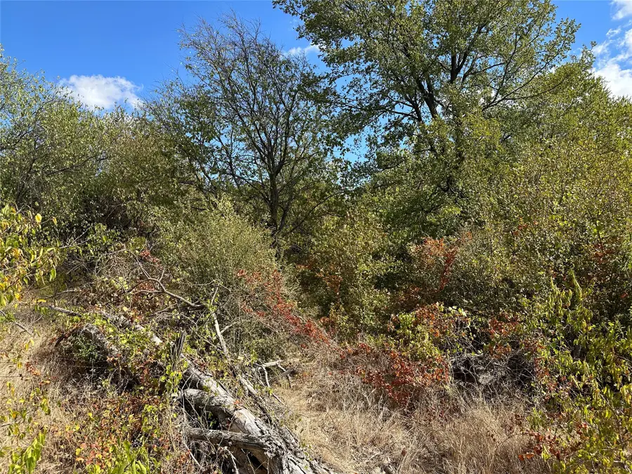 TBD Lois Road W, Sanger, TX 76266 - Image #2