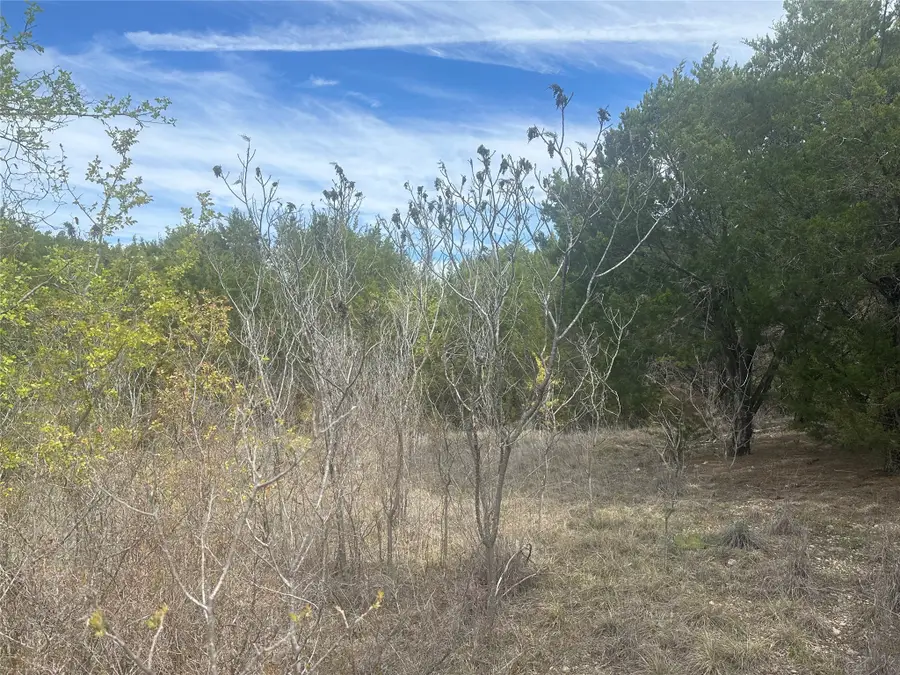 1241 Balcones Lane, Graford, TX 76449 - Image #3