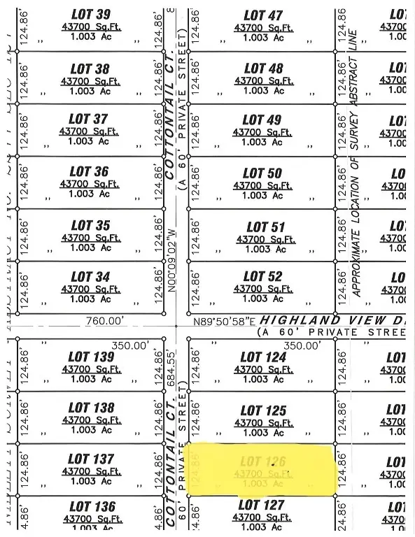 6009 Cotton Tail Court, Springtown, TX 76082