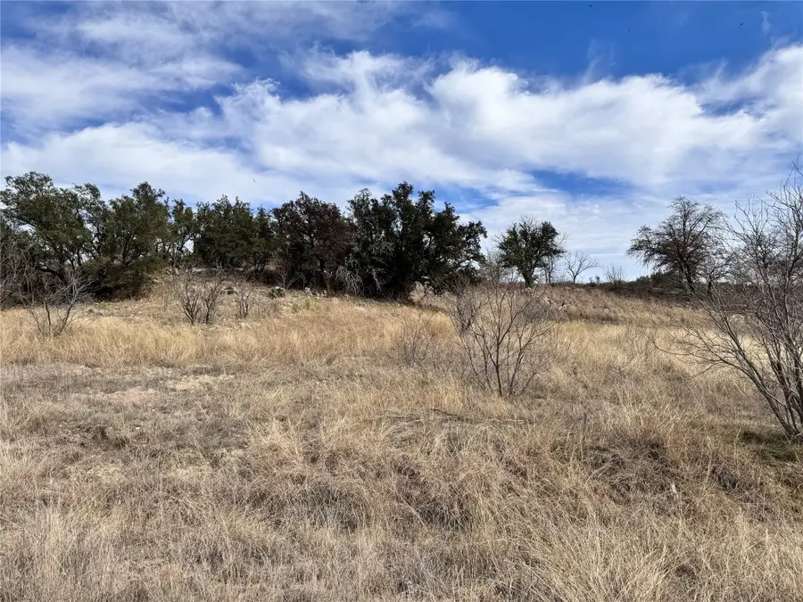 TBD Lot 196 Carie Drive, Brownwood, TX 76801 - #3